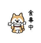 愛くるしい柴犬（個別スタンプ：19）