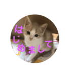ひこ＆くー 3（個別スタンプ：1）