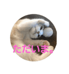 ひこ＆くー 3（個別スタンプ：13）