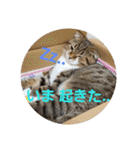 ひこ＆くー 3（個別スタンプ：14）