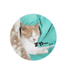 ひこ＆くー 3（個別スタンプ：38）