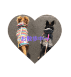 ここぁ＆ちょこ（個別スタンプ：3）
