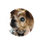 ここぁ＆ちょこ（個別スタンプ：4）