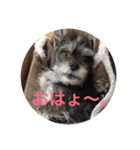 ここぁ＆ちょこ（個別スタンプ：5）