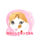 手書き猫達の大阪弁つぶやき（個別スタンプ：1）