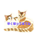 手書き猫達の大阪弁つぶやき（個別スタンプ：7）