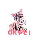 手書き猫達の大阪弁つぶやき（個別スタンプ：11）