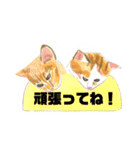 手書き猫達の大阪弁つぶやき（個別スタンプ：20）