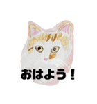 手書き猫達の大阪弁つぶやき（個別スタンプ：22）