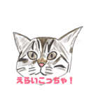 手書き猫達の大阪弁つぶやき（個別スタンプ：25）