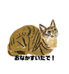 手書き猫達の大阪弁つぶやき（個別スタンプ：26）