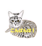 手書き猫達の大阪弁つぶやき（個別スタンプ：27）