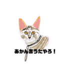 手書き猫達の大阪弁つぶやき（個別スタンプ：28）