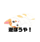 手書き猫達の大阪弁つぶやき（個別スタンプ：29）