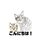 手書き猫達の大阪弁つぶやき（個別スタンプ：35）