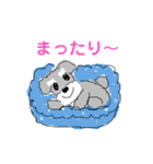 毎日使える！もふもふ犬❤️＊シュナウザー（個別スタンプ：10）