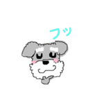 毎日使える！もふもふ犬❤️＊シュナウザー（個別スタンプ：29）