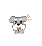 毎日使える！もふもふ犬❤️＊シュナウザー（個別スタンプ：31）