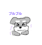 毎日使える！もふもふ犬❤️＊シュナウザー（個別スタンプ：34）