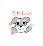 毎日使える！もふもふ犬❤️＊シュナウザー（個別スタンプ：37）