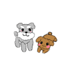 毎日使える！もふもふ犬❤️＊シュナウザー（個別スタンプ：39）
