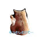 GINGERスタンプ④（個別スタンプ：2）