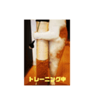 GINGERスタンプ④（個別スタンプ：7）