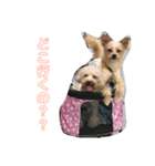 そら＆とわふぁみりー②（個別スタンプ：1）