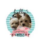 そら＆とわふぁみりー②（個別スタンプ：2）