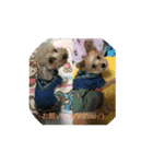 そら＆とわふぁみりー②（個別スタンプ：4）