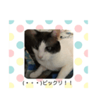 そら＆とわふぁみりー②（個別スタンプ：8）