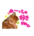 トラ猫ミイちゃん・関西弁（個別スタンプ：3）