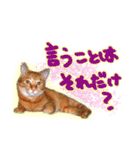 トラ猫ミイちゃん・関西弁（個別スタンプ：23）