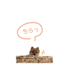 やんスタンプpart2（個別スタンプ：19）