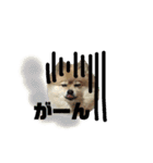 やんスタンプpart2（個別スタンプ：23）