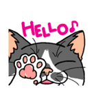 猫とりどり3（個別スタンプ：1）