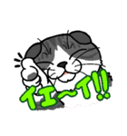 猫とりどり3（個別スタンプ：2）