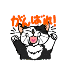 猫とりどり3（個別スタンプ：3）