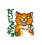 猫とりどり3（個別スタンプ：5）