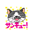 猫とりどり3（個別スタンプ：6）
