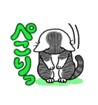 猫とりどり3（個別スタンプ：7）