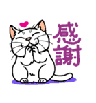 猫とりどり3（個別スタンプ：8）