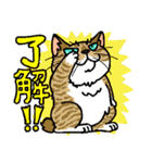 猫とりどり3（個別スタンプ：9）
