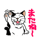 猫とりどり3（個別スタンプ：10）