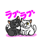 猫とりどり3（個別スタンプ：12）