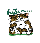 猫とりどり3（個別スタンプ：13）