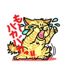猫とりどり3（個別スタンプ：20）