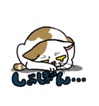 猫とりどり3（個別スタンプ：21）