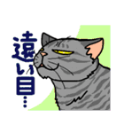 猫とりどり3（個別スタンプ：24）