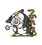 猫とりどり3（個別スタンプ：25）